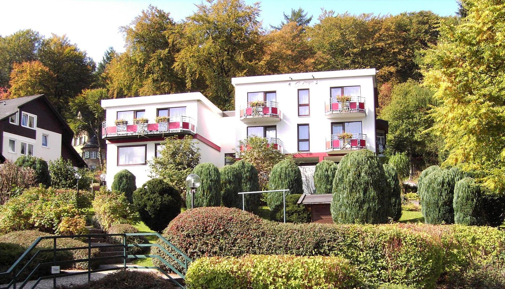 Hotelpension Schroeder Willingen  Eksteriør billede