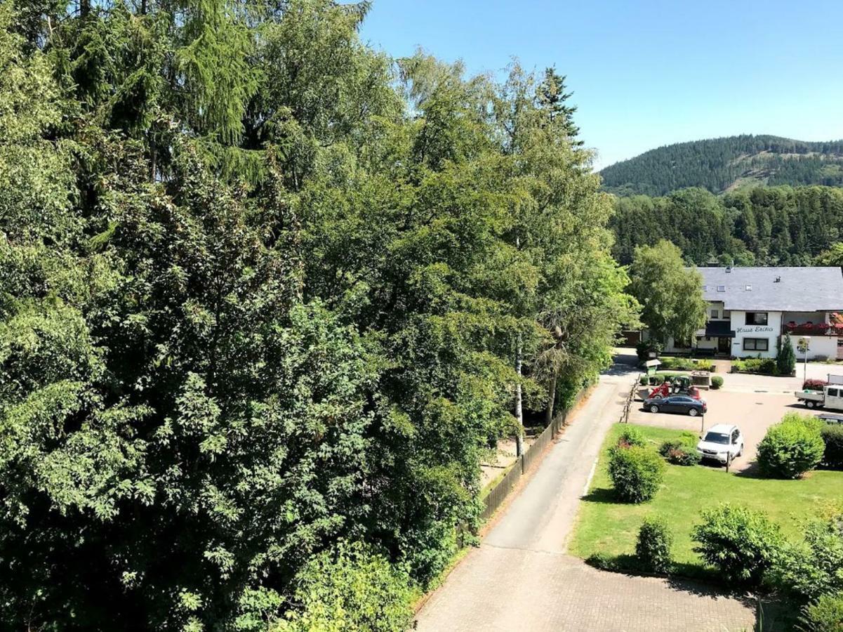 Hotelpension Schroeder Willingen  Eksteriør billede