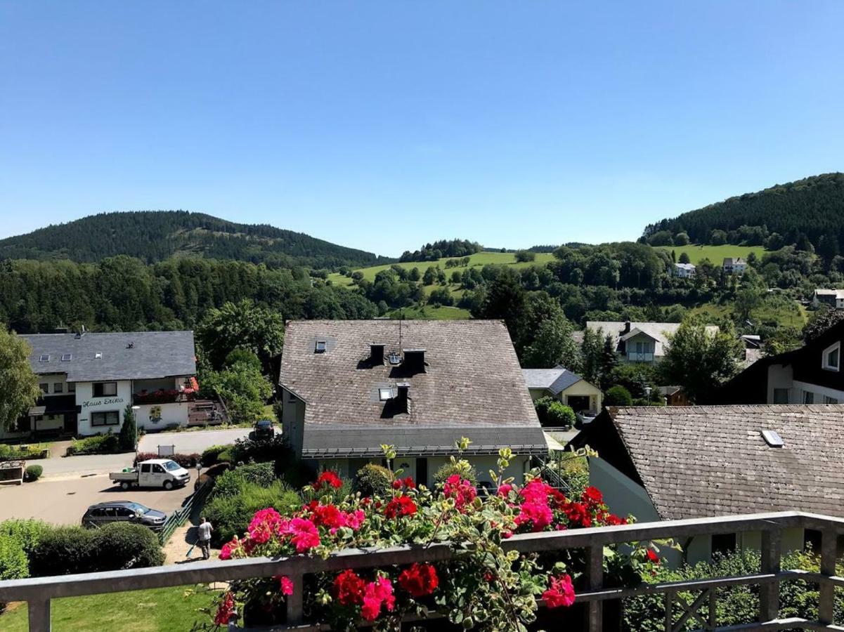 Hotelpension Schroeder Willingen  Eksteriør billede